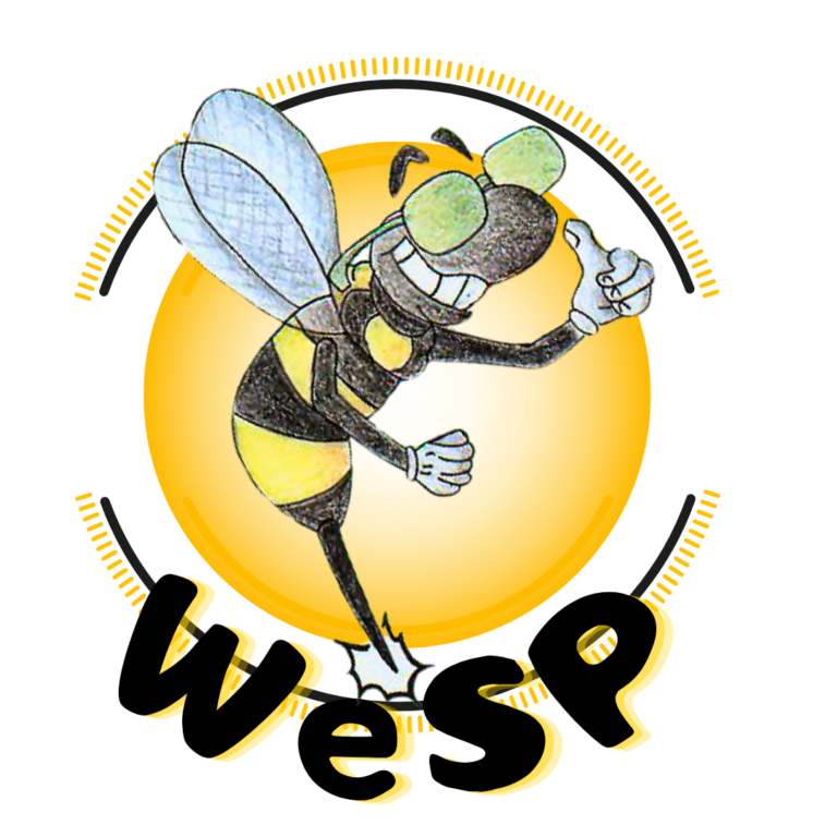 WeSP-weekend 2e graad